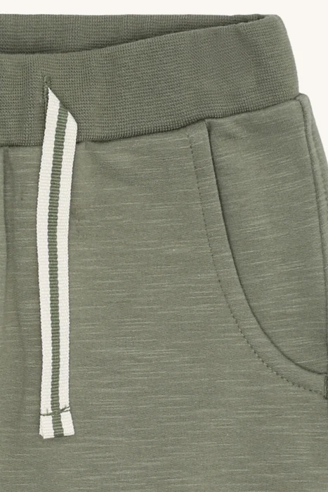 HCGeorgey Solid - Turtle