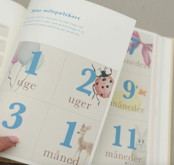 BOGEN OM MIG – en særlig bog til barnet