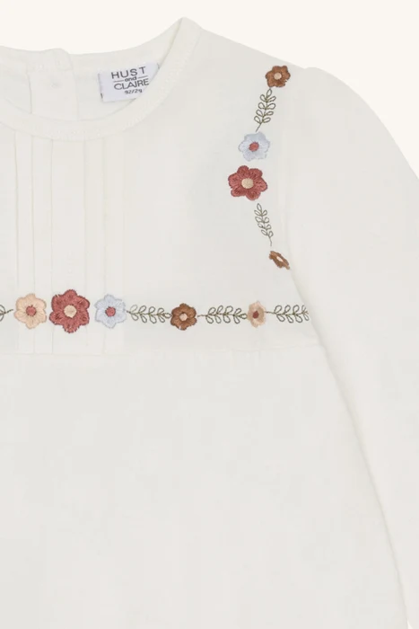 HCAlma Dot structure