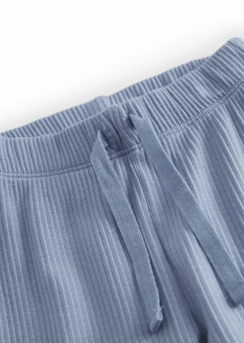 Piva - Modal Blue iris