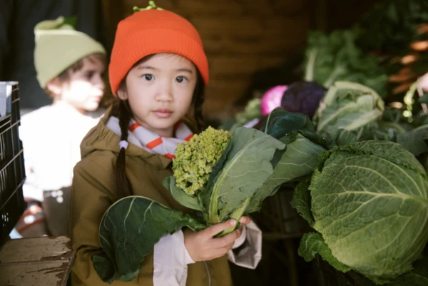 Atlas Tomat - Bomuldsstrik Ensfarvet