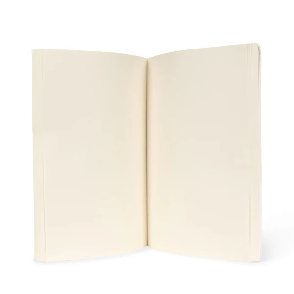 Kongens sløjd - tegnesæt - Dino