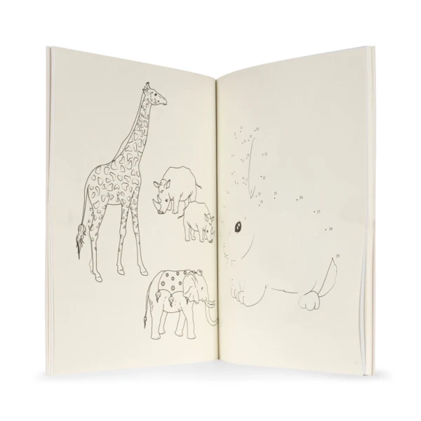 Aktivitetsbog med farveblyanter - Kongens sløjd